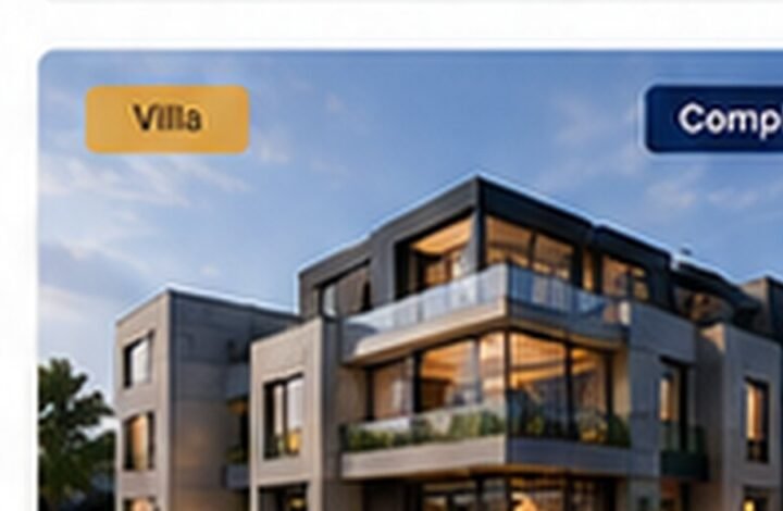 Project Lakeview